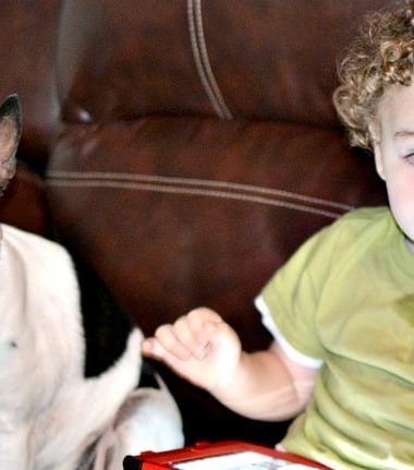 Balancing Life with Kids and Dogs