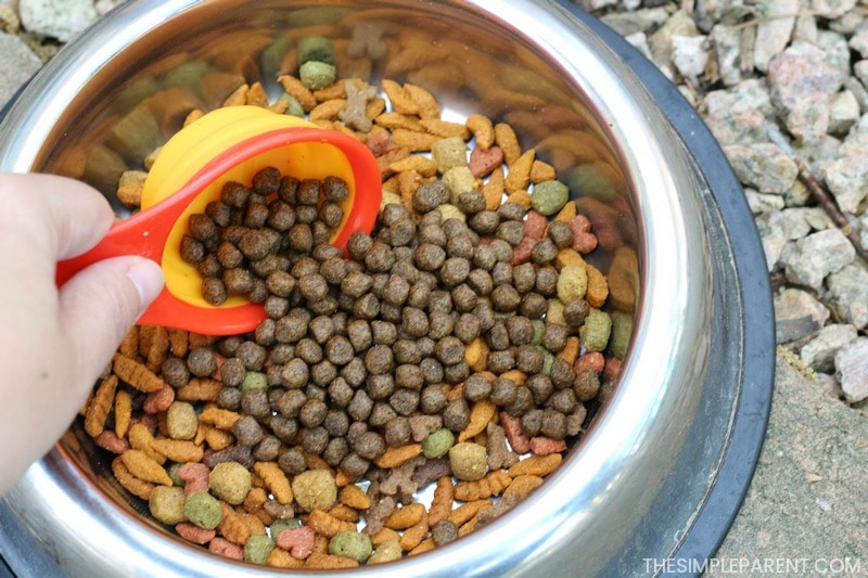 Changing dog food by mixing some new food with the old food in the bowl.