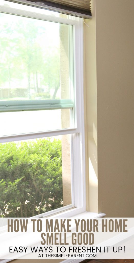 How to Make Your House Smell Good (Easy Things to Do Today!)