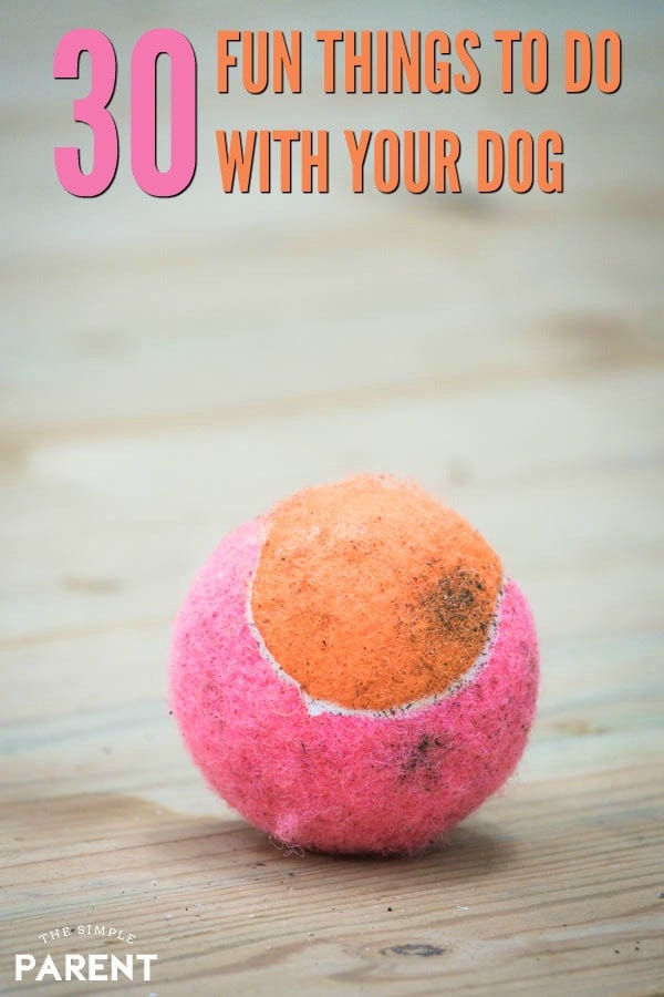 30+ Fun Things to Do with Your Dog - Check out these easy ideas for families with dogs. If you have children, there are some fun ways for them to all play, get some exercise and have fun either at home or out and about!