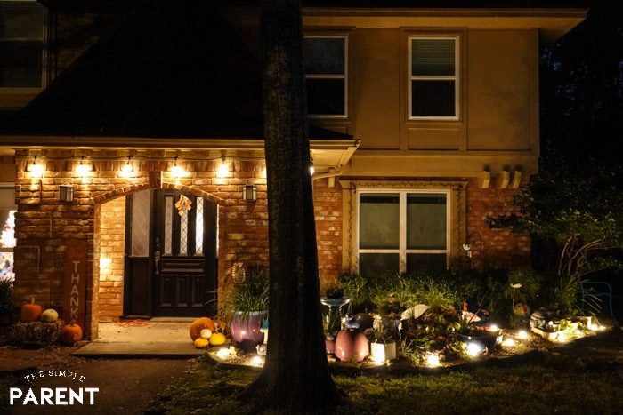 House with landscape lighting