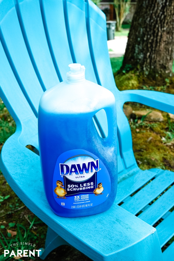Dawn dish soap bottle on lawn chair