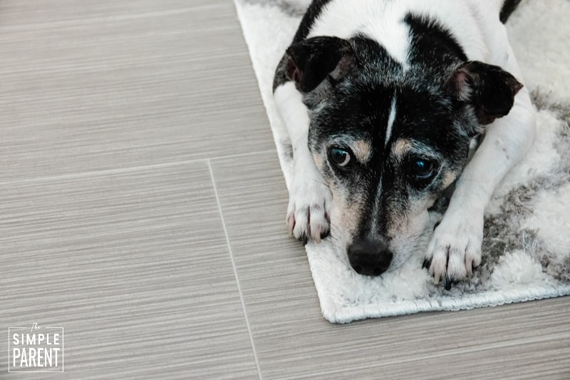Dog laying on throw rug on top of gray Lifeproof Sheet Vinyl flooring
