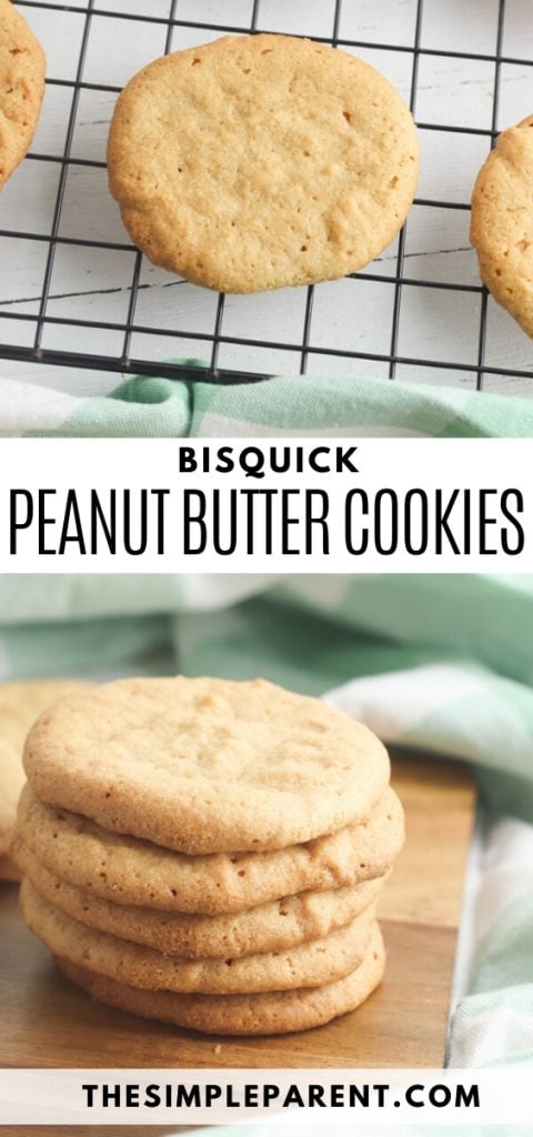 Bisquick Peanut Butter Cookies Recipe