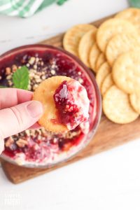 Bowl of Cranberry Cream Cheese Dip