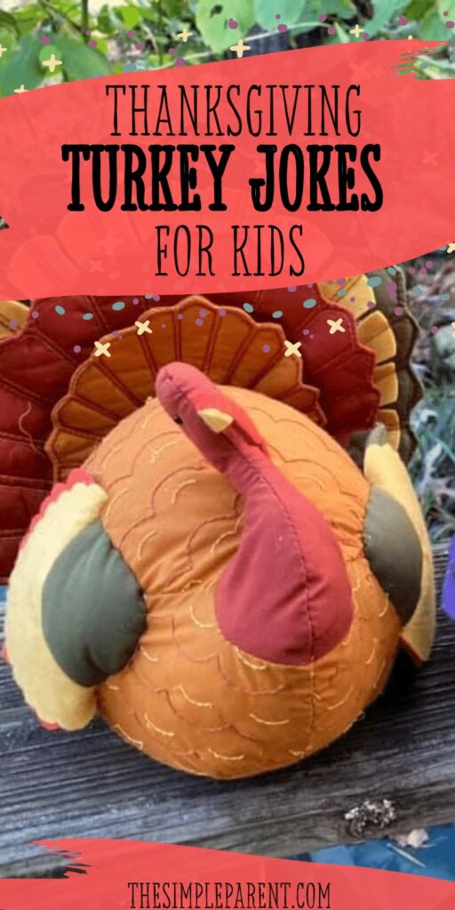 Stuffed turkey made with orange, red, brown, and green fabric
