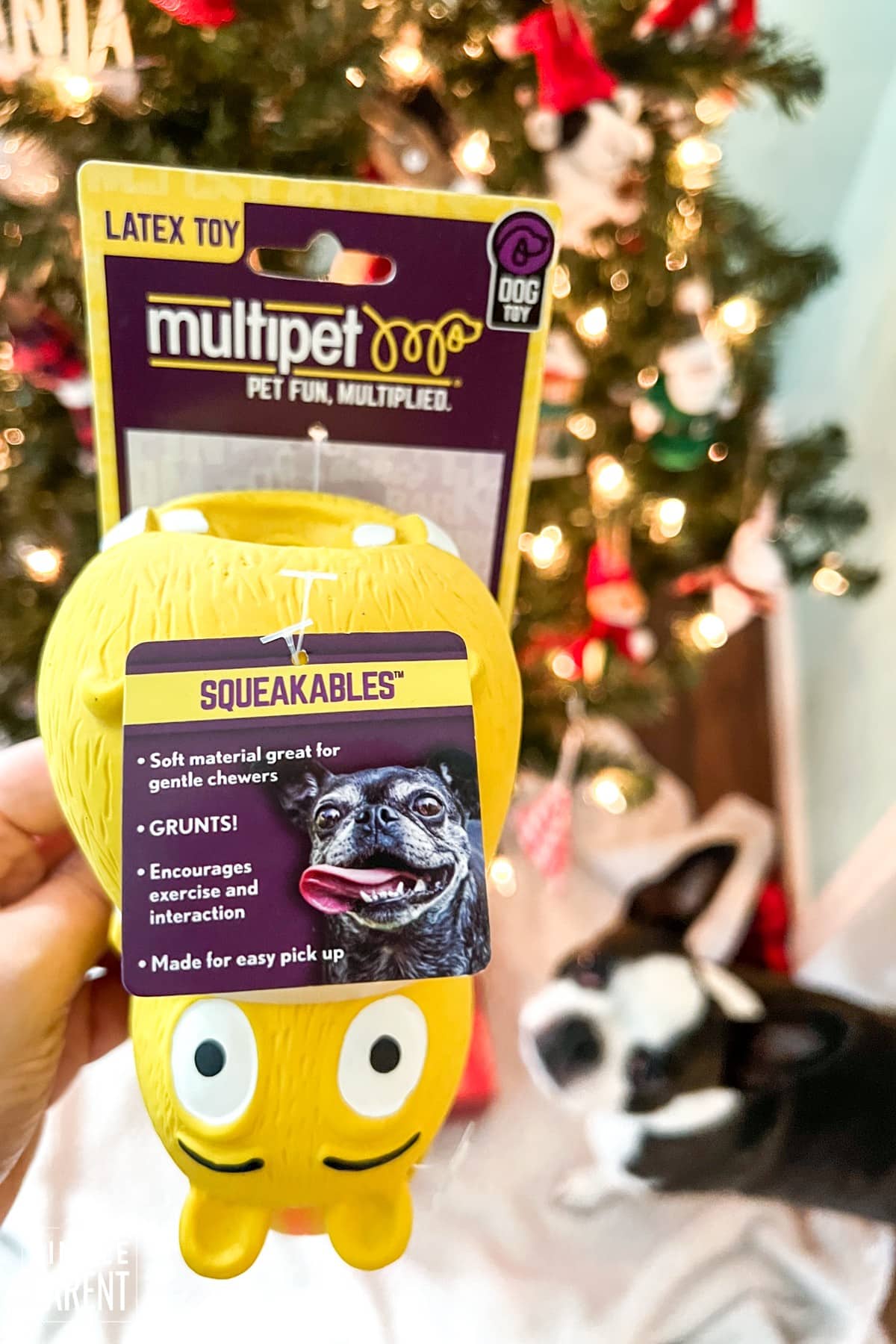 Practical Gift Ideas for Pets & Pet Owners!