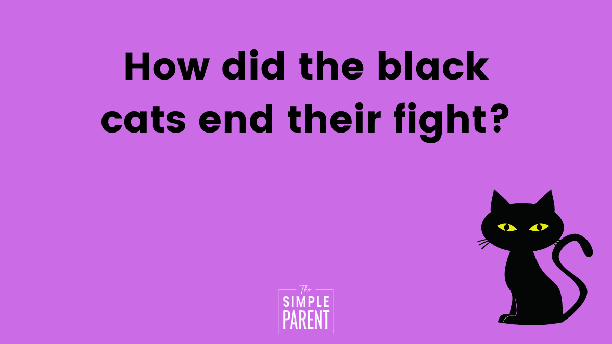 Image text: How did the black cats end their fight?