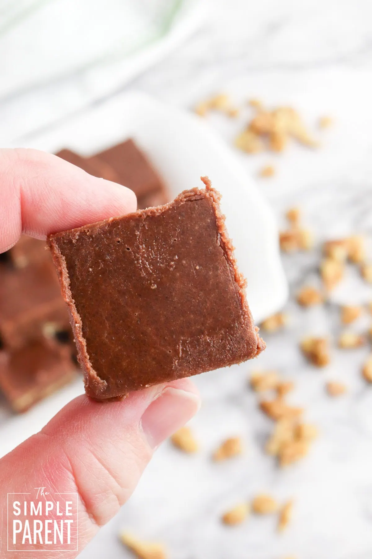 A piece of chocolate walnut fudge