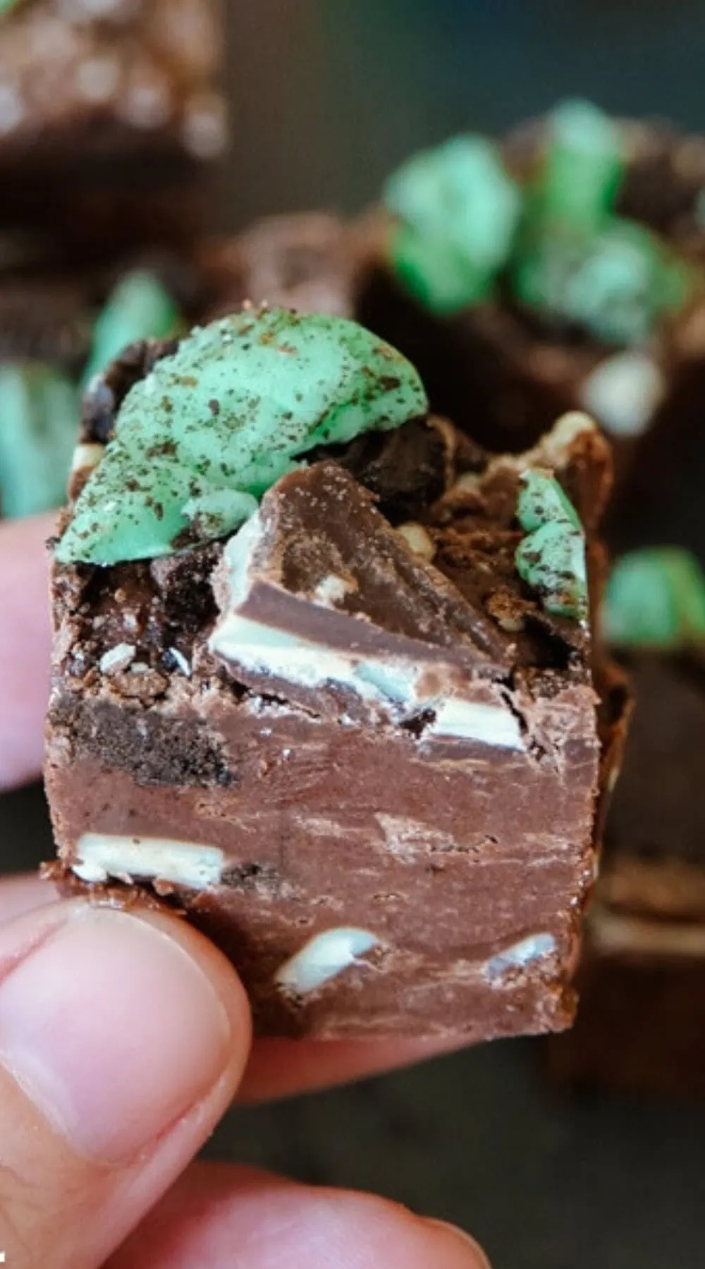 Piece of Mint Oreo Fudge for Christmas