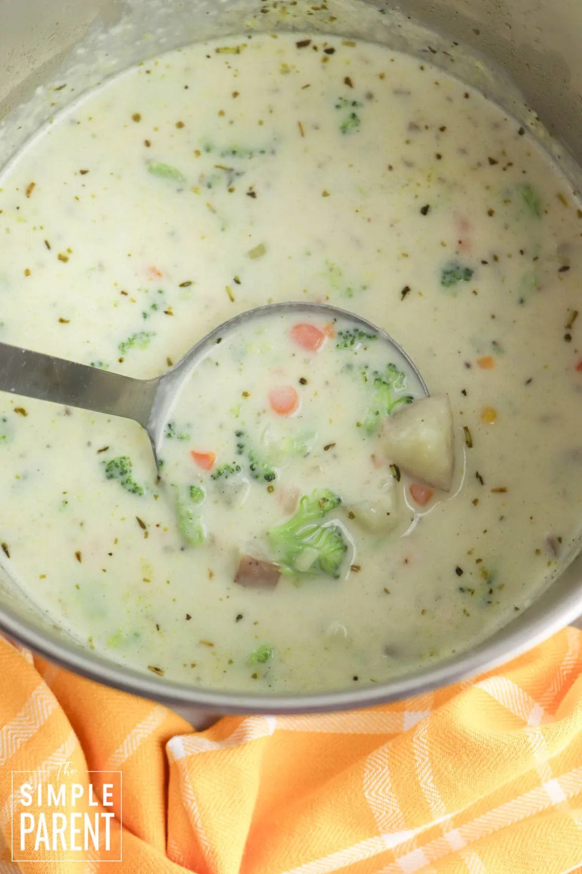 Ladle of creamy vegetable soup